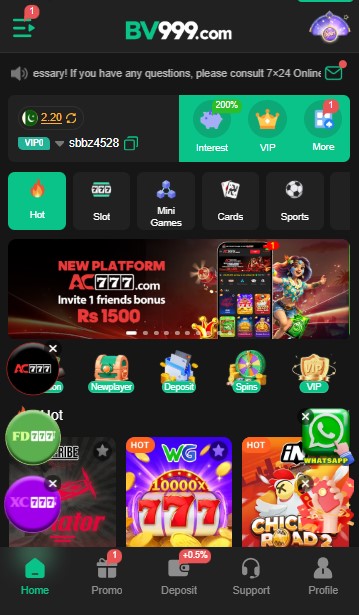 BV999 Game