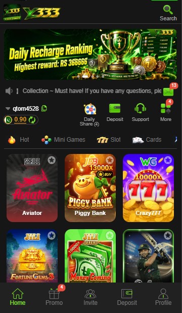 Y333 Game