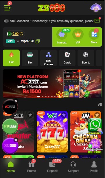ZS999 Game